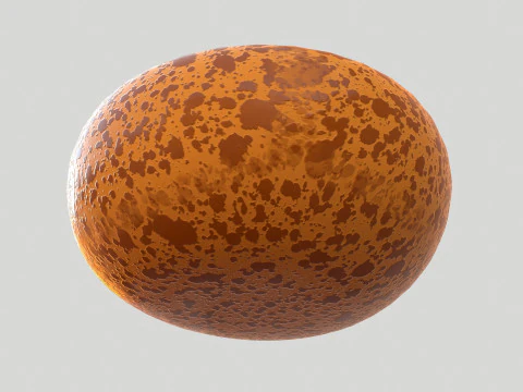 Round Brown Bowl 3D Model