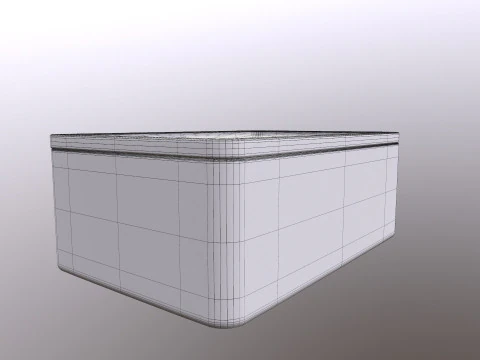 Phosphorus Lid Tray Accessory Case 3D Model