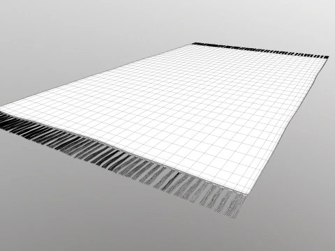 Multicolor Cotton Carpet 3D Model