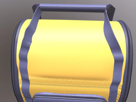 Pet Backpack Carrier 3D Model