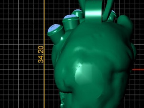 HUMAN HEART DIAMOND PENDANT 3D PRINTABLE MODEL 3D Model