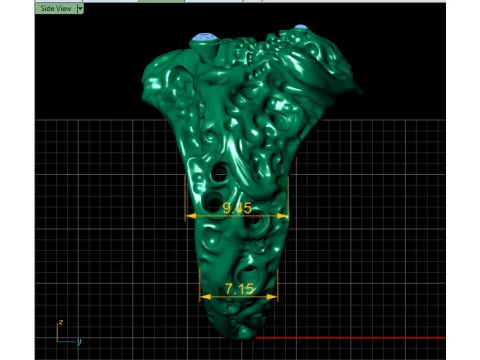 Lion ring PANDANT 3D PRINTABLE MODAL 3D Print Model