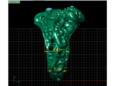 Lion ring PANDANT 3D PRINTABLE MODAL Modelo de impresión 3D