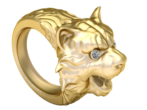 Anamil ring pendant 3d printable model 3D Print Model