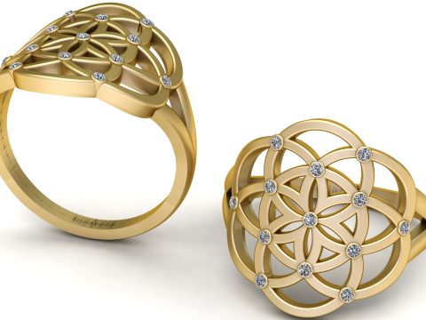 Qiming Sacred Geometry Flower Of Life Ring Female PENDANT 3Dプリントモデル