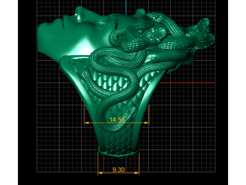 Gorgon Medusa Ring 3D Printable Model 3D Print Model