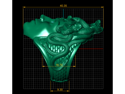 Gorgon Medusa Ring 3D Printable Jewelry Model 3D Принт Модель