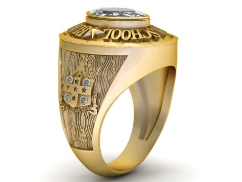 Modello stampabile 3D dell'anello del campionato Modello di stampa 3D