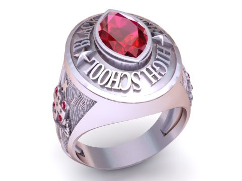 Modello stampabile 3D dell'anello del campionato Modello di stampa 3D