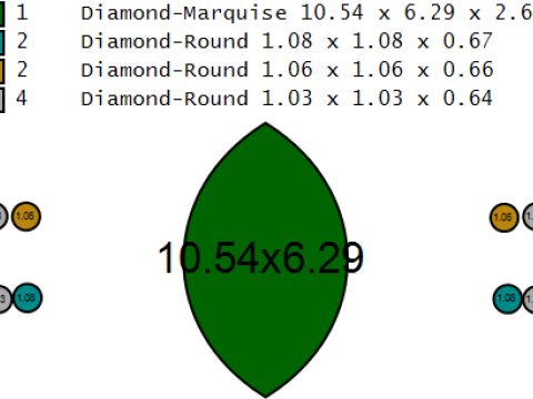 Modello stampabile 3D dell'anello del campionato Modello di stampa 3D