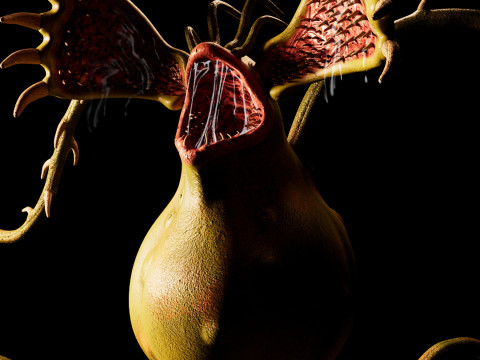 Monster Plant Modèle 3D