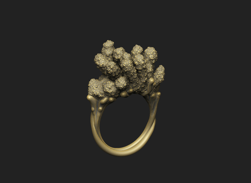 Coral abstract fantasy organic aqua underwater sea ocean 3D Print Model .c4d .max .obj .3ds .fbx .stl .blend 