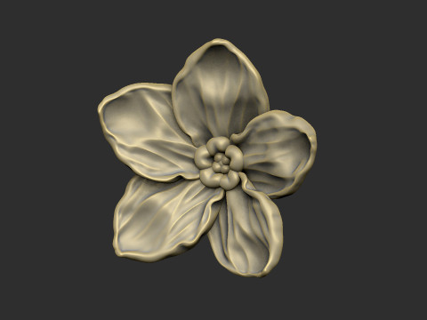 Forget me not petal flower floral design 3D printmodel