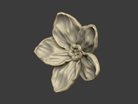 Forget me not petal flower floral design 3D printmodel