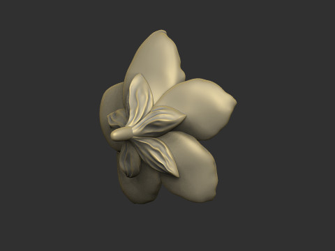 Forget me not petal flower floral design 3D printmodel