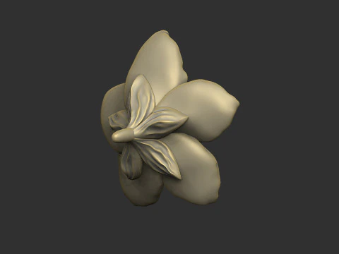 Forget me not petal flower floral design 3D Print Model
