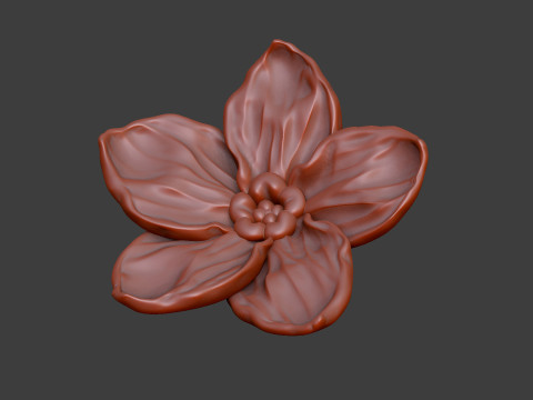 Forget me not petal flower floral design 3D printmodel