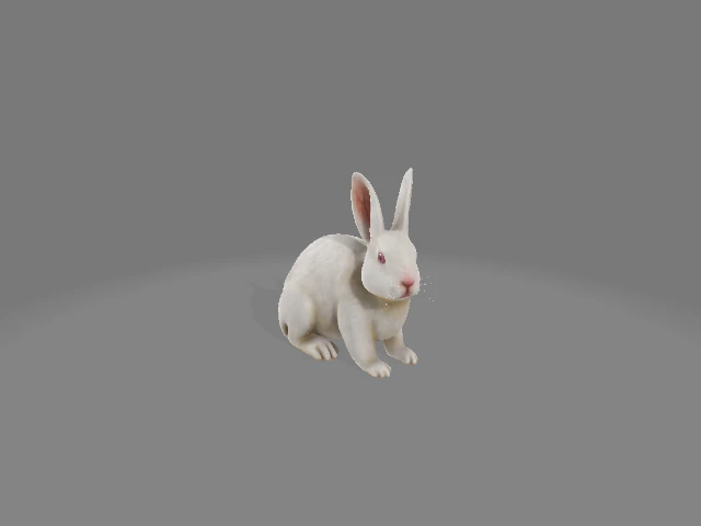 Rabbit 3D Model .c4d .max .obj .3ds .fbx .stl .blend 
