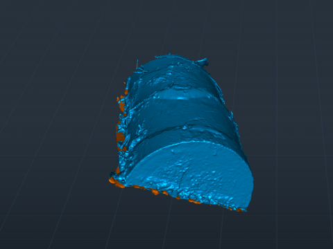 A Tropical Sagoo trees log covered in moss in highpoly 3D Модель
