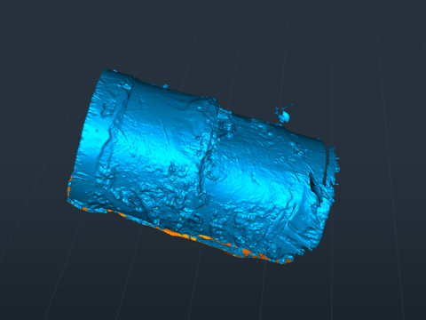 A Tropical Sagoo trees log covered in moss in highpoly 3D Модель
