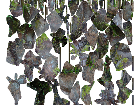 A Tropical Sagoo trees log covered in moss in highpoly 3D Модель