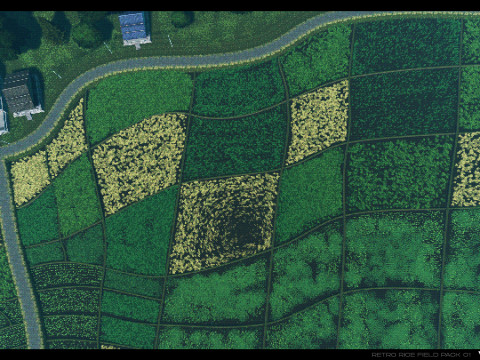 Retro Rice Field Model 3D
