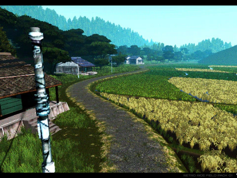 Retro Rice Field 3D Model