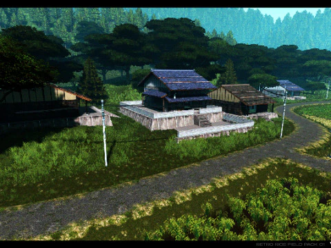 Retro Rice Field 3D Model