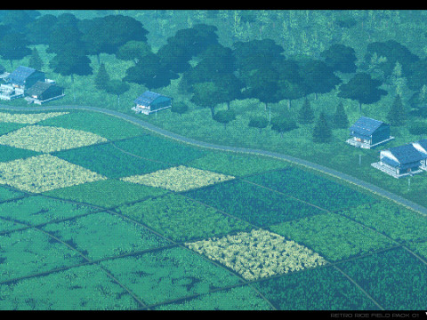 Retro Rice Field Model 3D