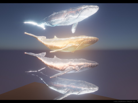 3D Holograms Pack Vol 01 3Dモデル