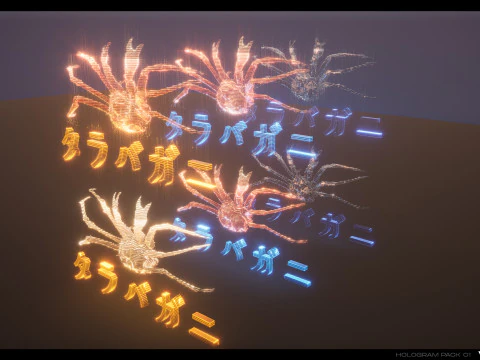 3D Holograms Pack Vol 01 3D Model
