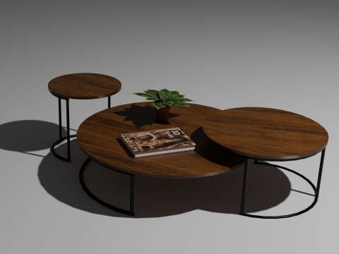 Mesa Circular - Circular table - Table circulaire 3D Model