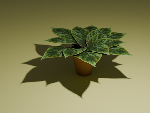 Potted plant 3D 模型