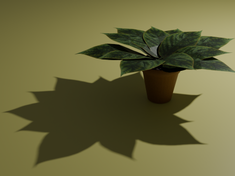 Potted plant 3D मॉडल