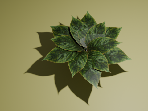 Potted plant 3D मॉडल