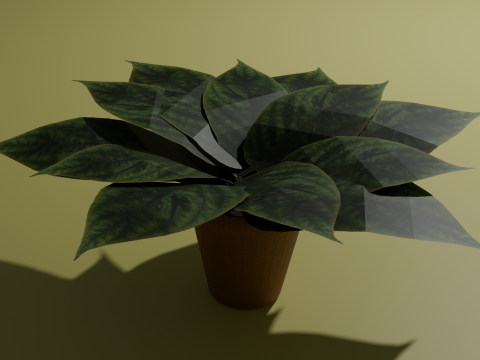 Potted plant 3D मॉडल