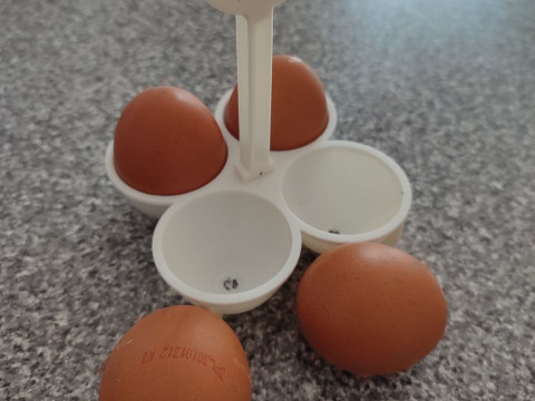Egg holder 3D प्रिंट मॉडल