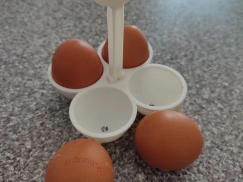 Egg holder 3D Print Model