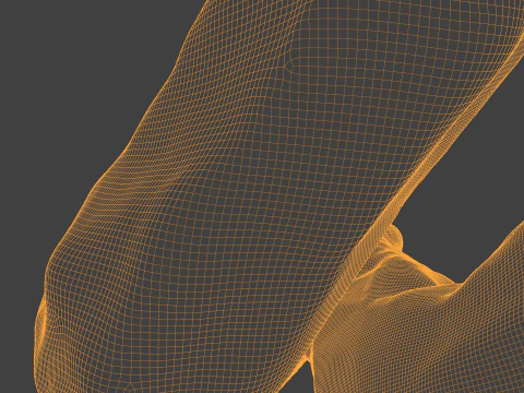 High Poly Mutant BOB 3D Model