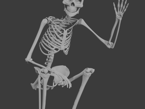 Human skeleton 3Dモデル