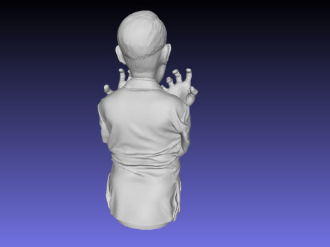 Bust Hitler 3D print model Modèles 3D en vedette