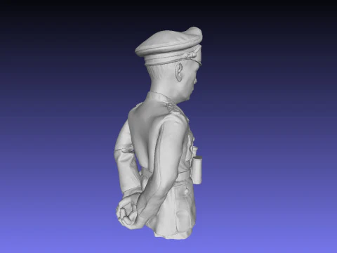 Bust Rommel 3D Print Model