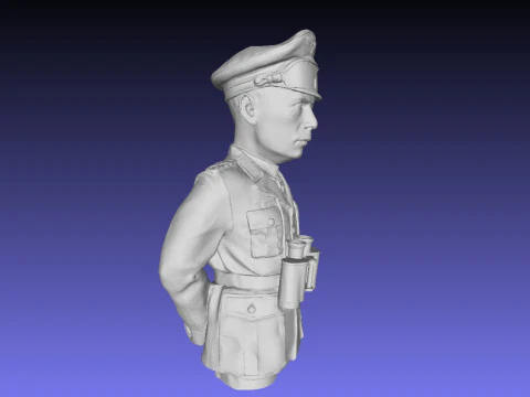 Bust Rommel 3D Print Model