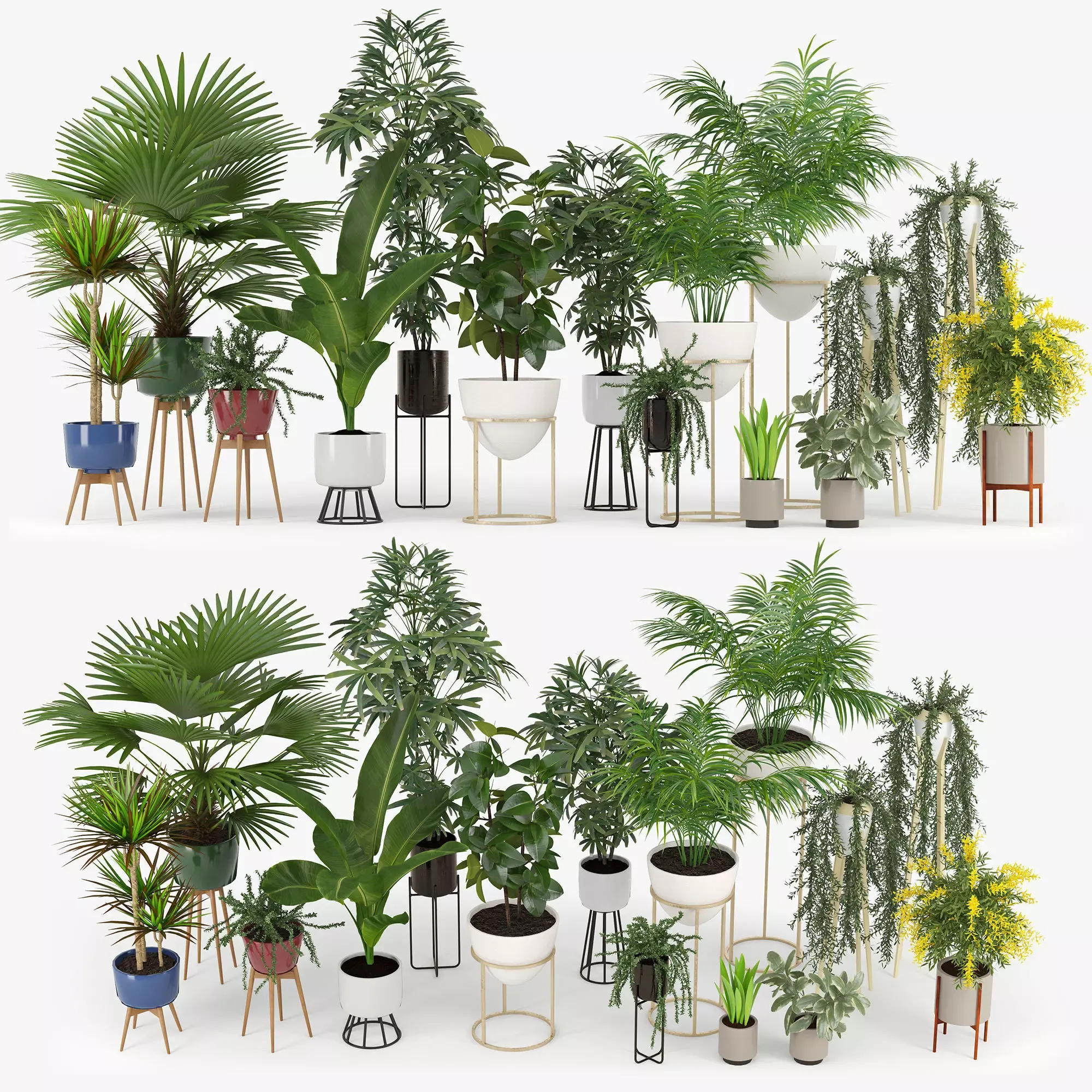 Modern Indoor Plants Collection 3D Model .c4d .max .obj .3ds .fbx .stl .blend