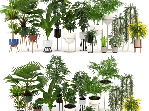 Colecci&oacute;n moderna de plantas de interior. Modelo 3D