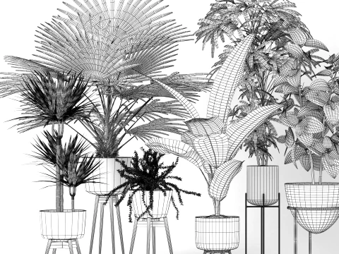 Modern Indoor Plants Collection 3D Model