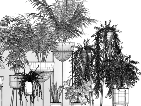 Modern Indoor Plants Collection 3D Model