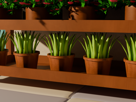 Flower Shop Modello 3D