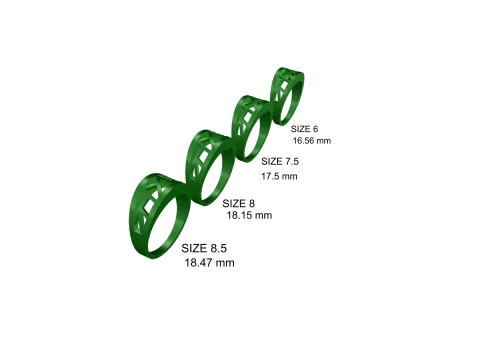 RING 001 - Printable Model 3D Print Model