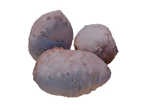 Potatos 3D Model